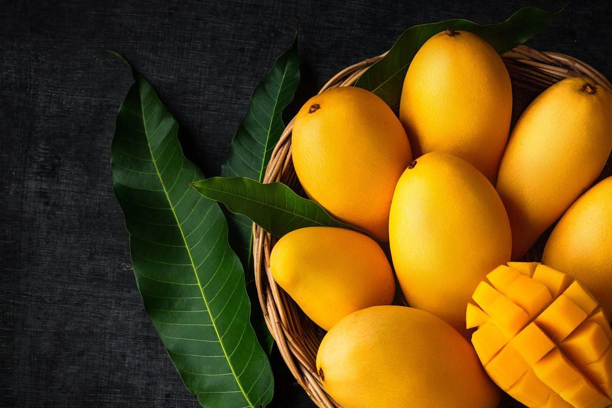 Mango Home, Lahore, Pakistan
