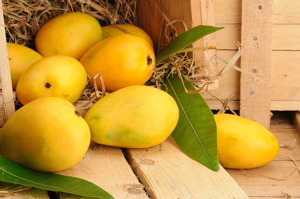 Mango Home Lahore Pakistan