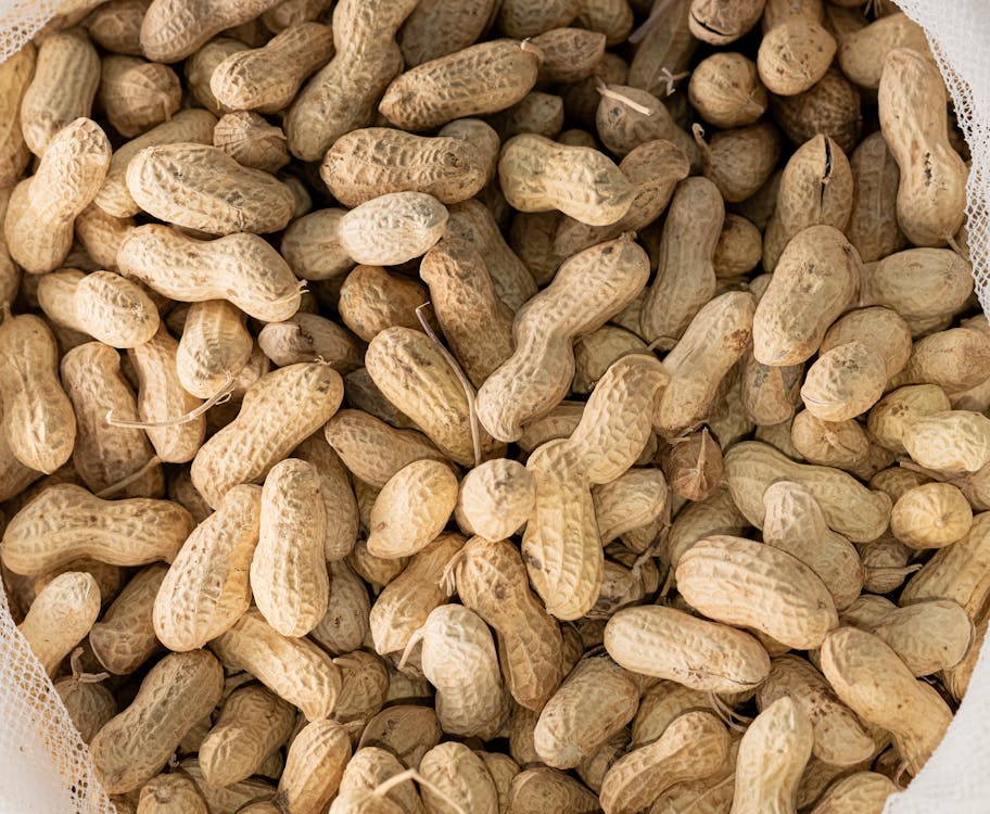 Peanuts