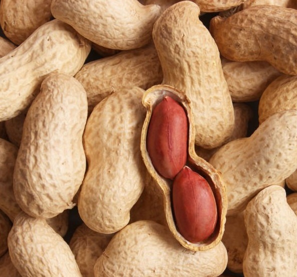 peanuts on a light background close-up. High quality photo